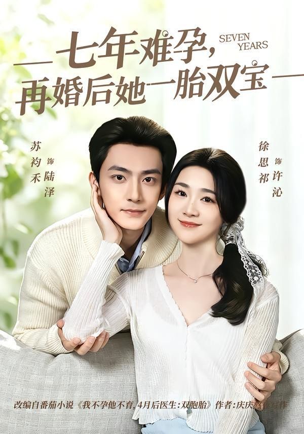 七年难孕，再婚后她一胎双宝海报