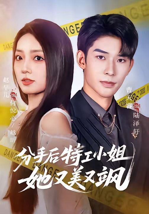 分手后特工小姐她又美又飒海报