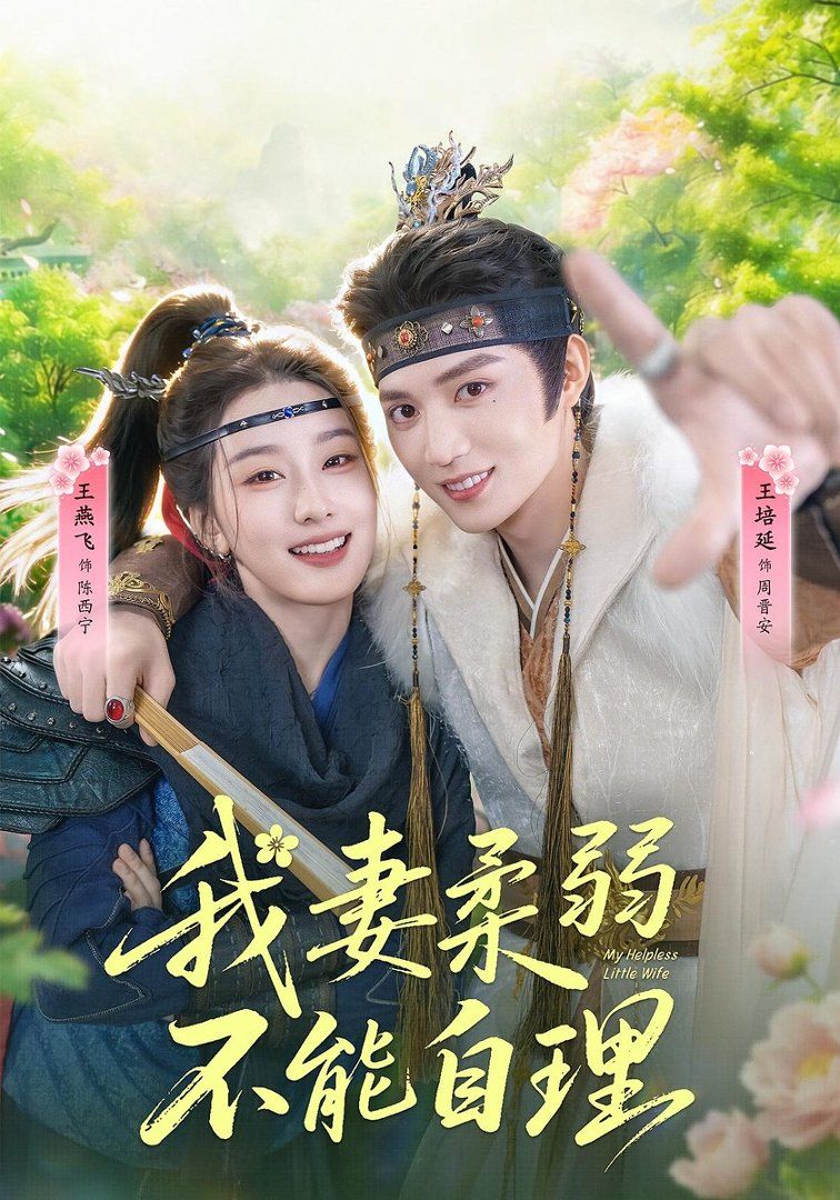 我妻柔弱不能自理海报