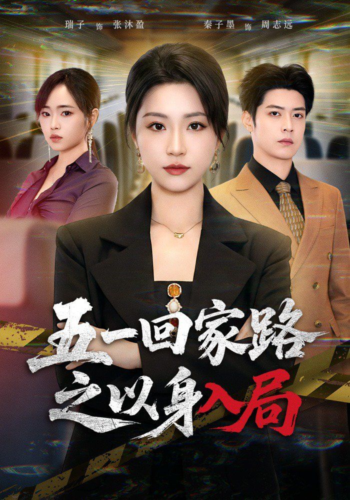 五一回家路之以身入局海报
