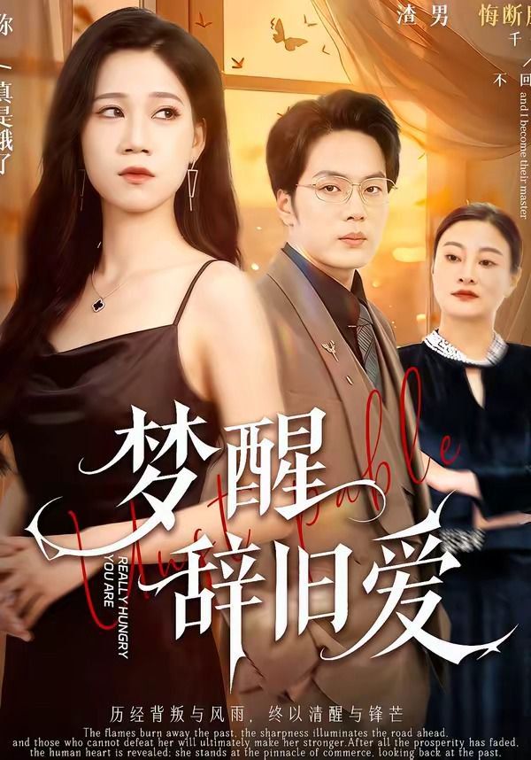 梦醒辞旧爱海报