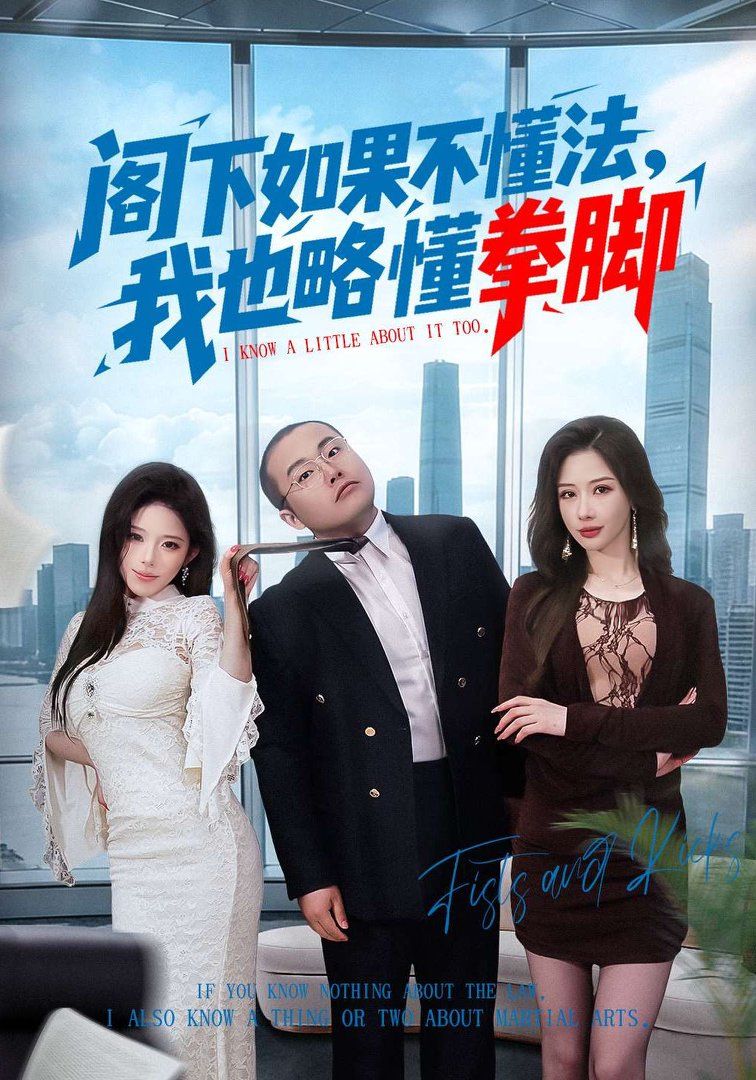 阁下如果不懂法，我也略懂拳脚海报