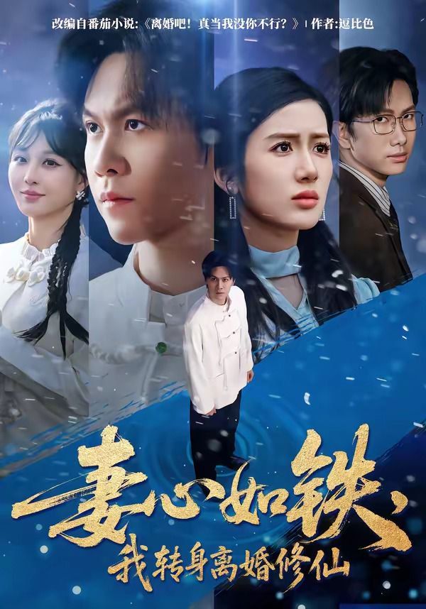 妻心如铁，我转身离婚修仙海报