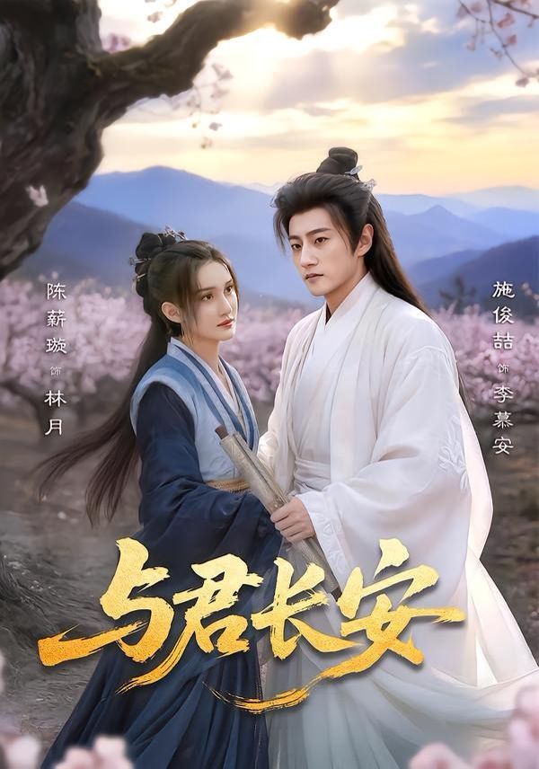 与君长安海报