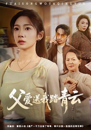 父爱送我踏青云海报
