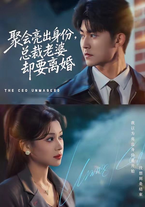 聚会亮出身份，总裁老婆却要离婚海报