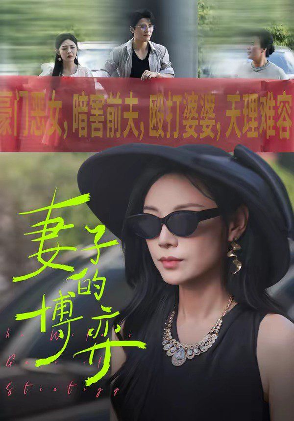 妻子的博弈海报