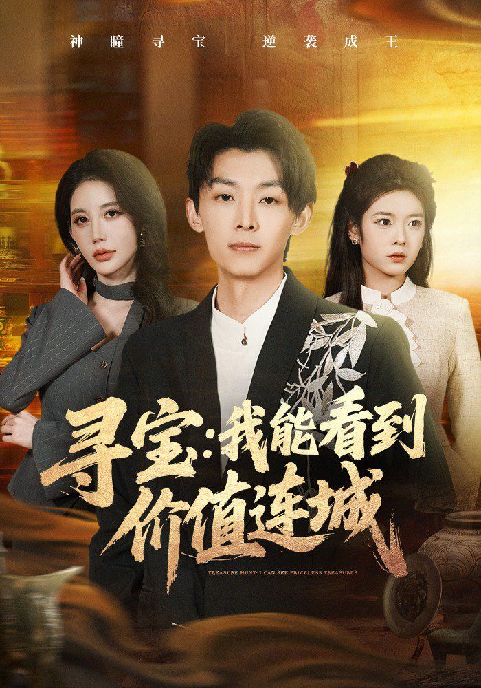 寻宝：我能看到价值连城海报