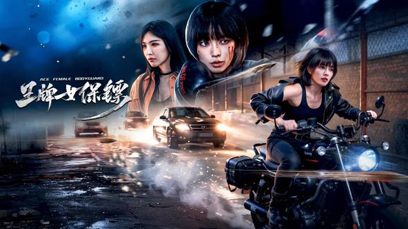 王牌女保镖海报