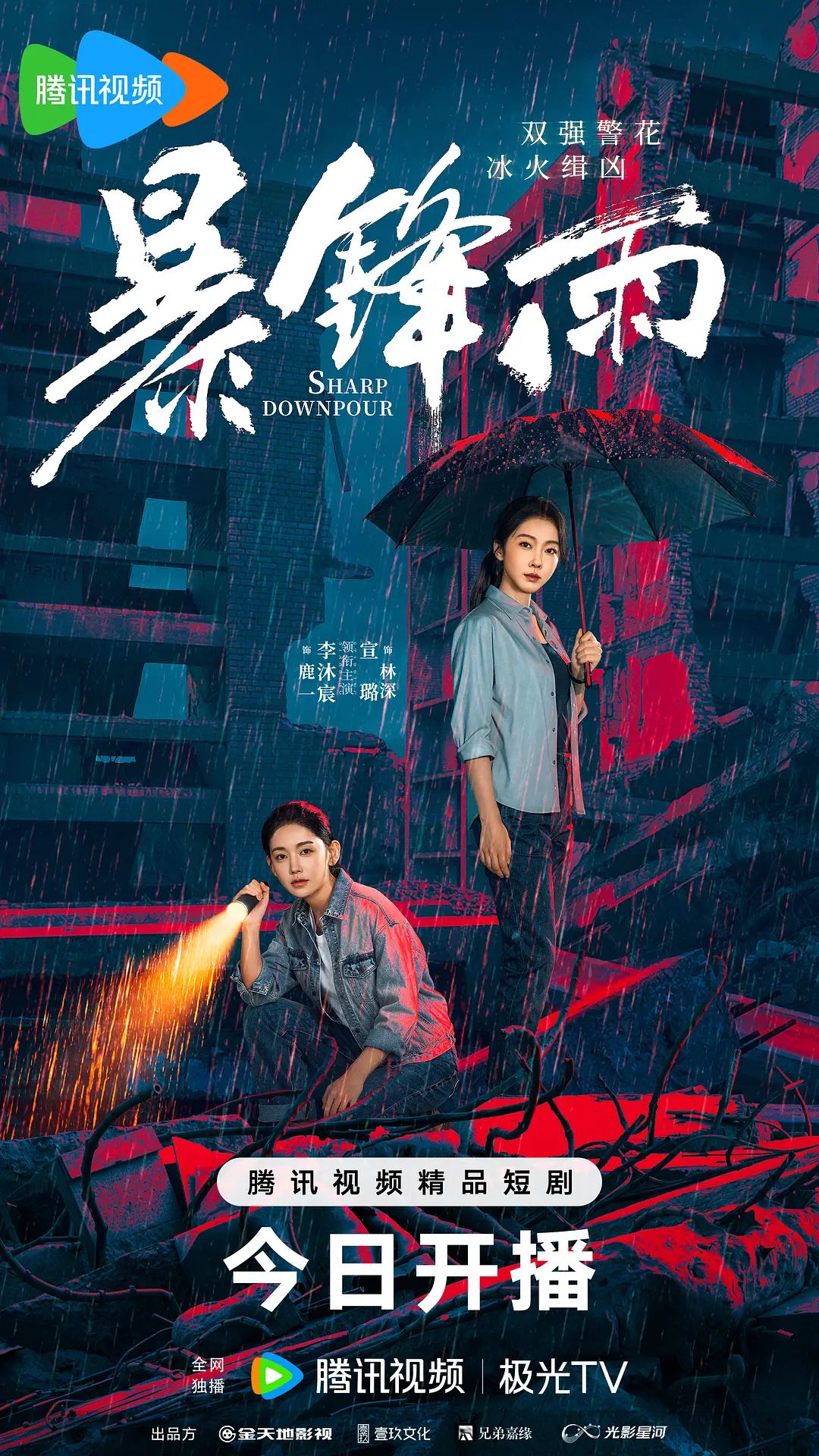 暴锋雨海报