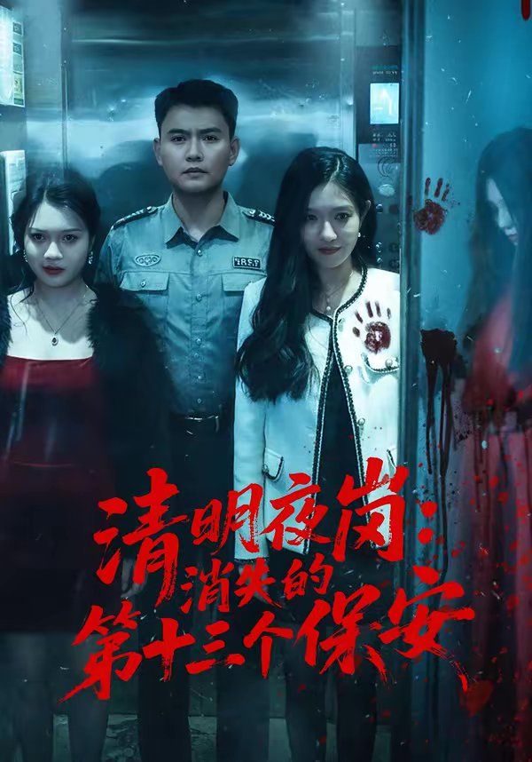 清明夜岗：消失的第十三个保安海报