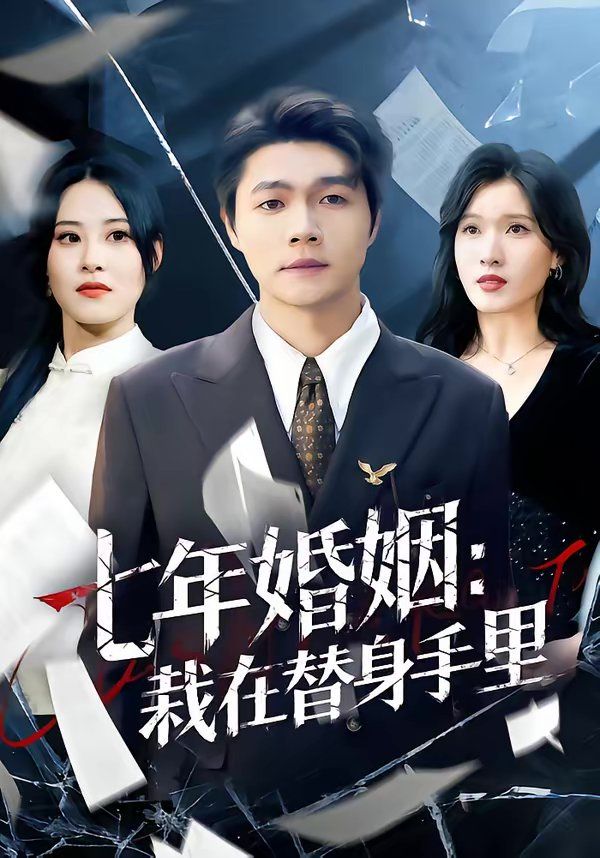 七年婚姻：栽在替身手里海报