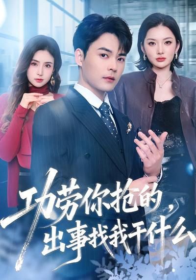 功劳你抢的，出事找我干什么海报