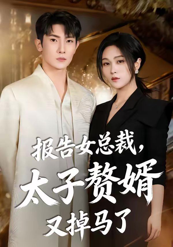 报告女总裁，太子赘婿又掉马了海报