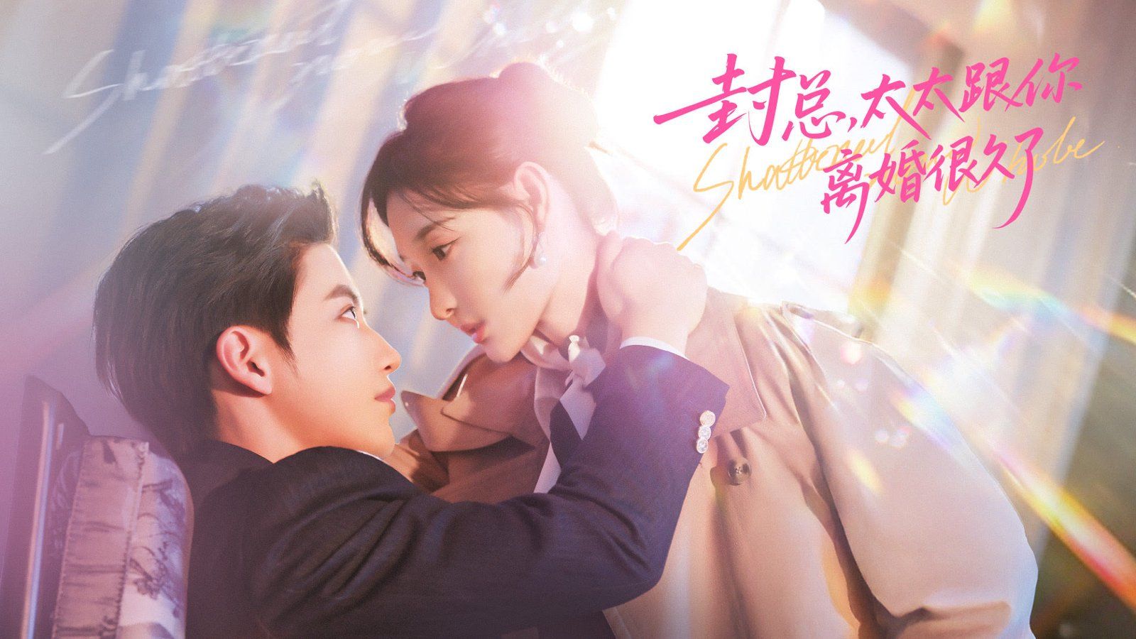 封总，太太跟你离婚很久了海报