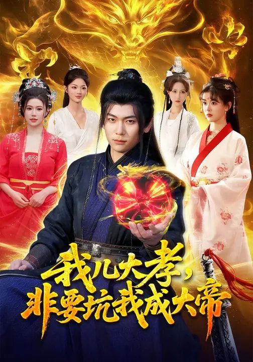 我儿大孝，非要坑我成大帝海报