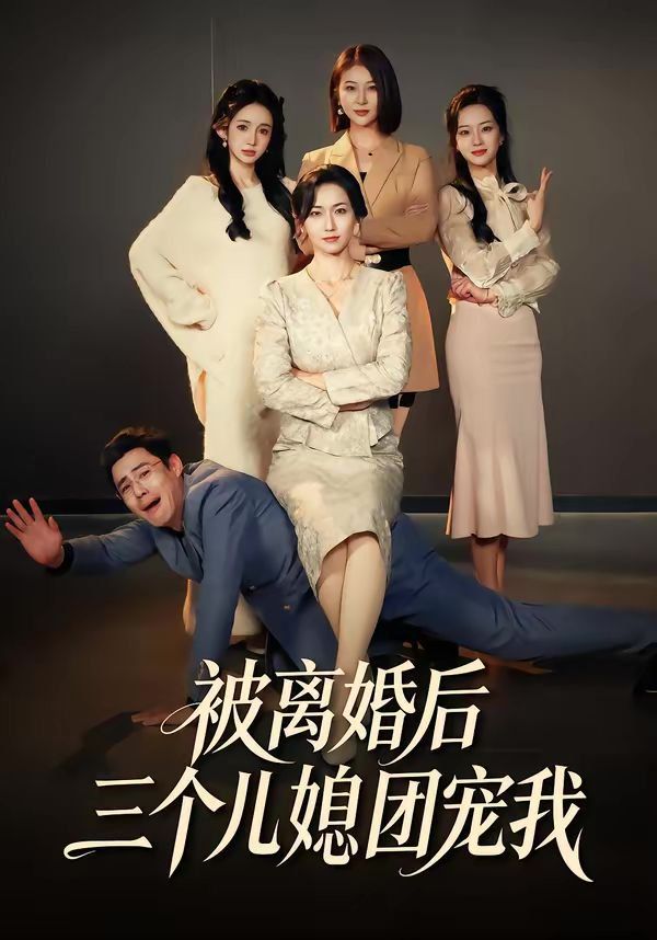 被离婚后三个儿媳团宠我海报