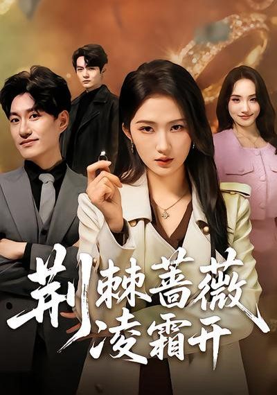 荆棘蔷薇凌霜开海报