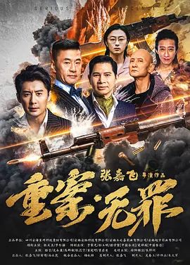 重案无罪海报