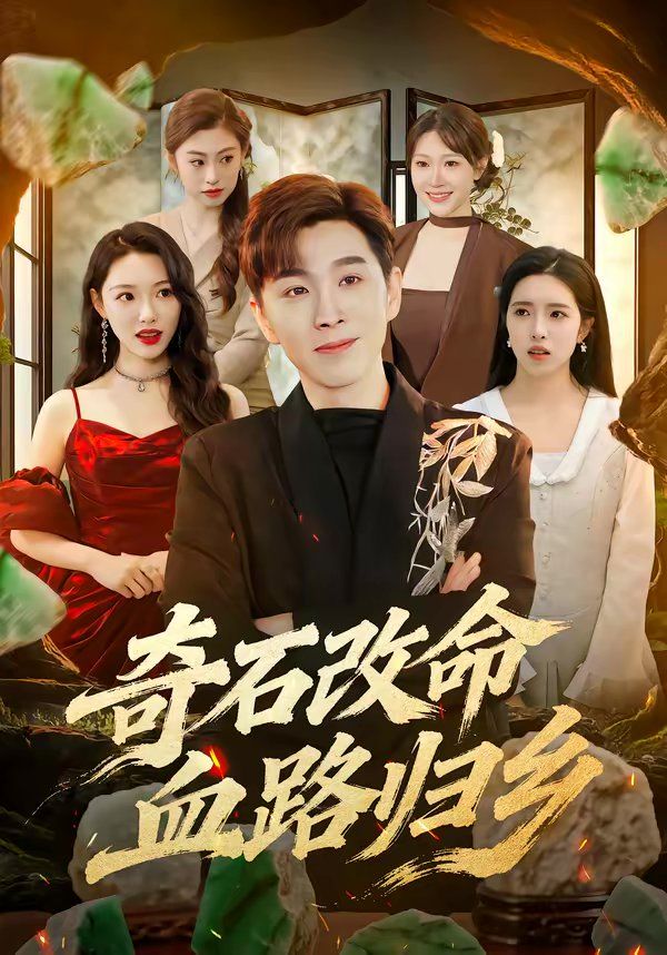 奇石改命血路归乡海报