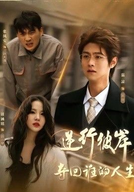 逆行彼岸夺回谁的人生海报