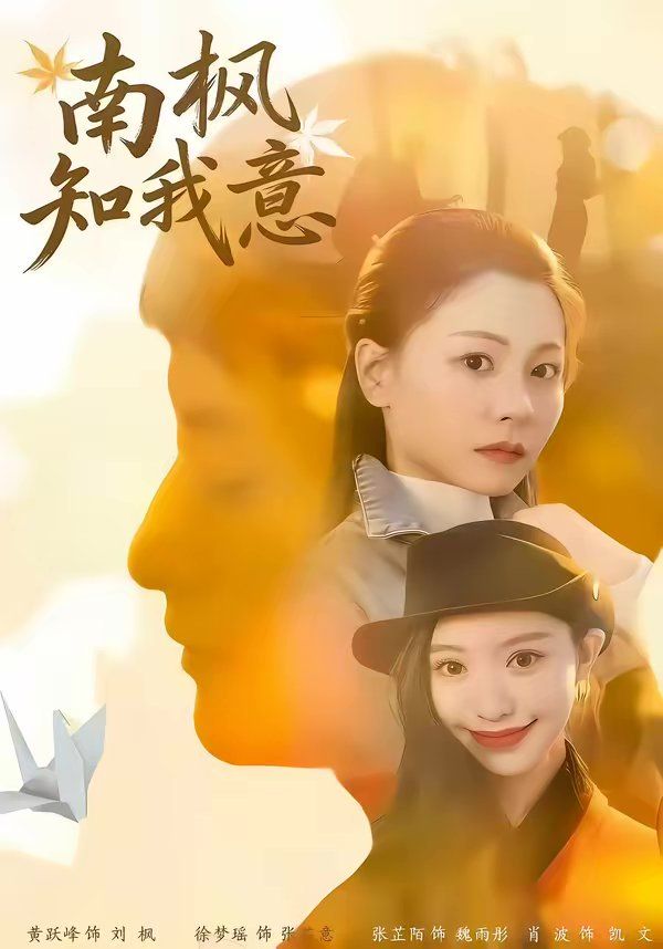 南枫知我意海报