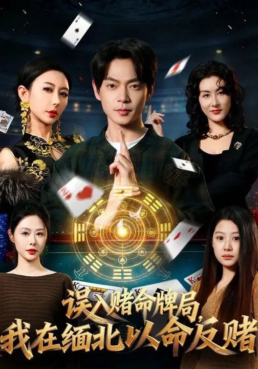 误入赌命牌局，我在缅北以命反赌海报