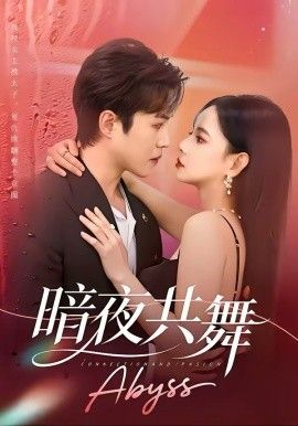 暗夜共舞海报