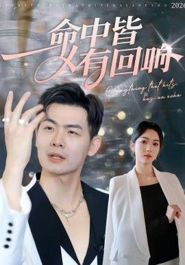 命中皆有回响海报