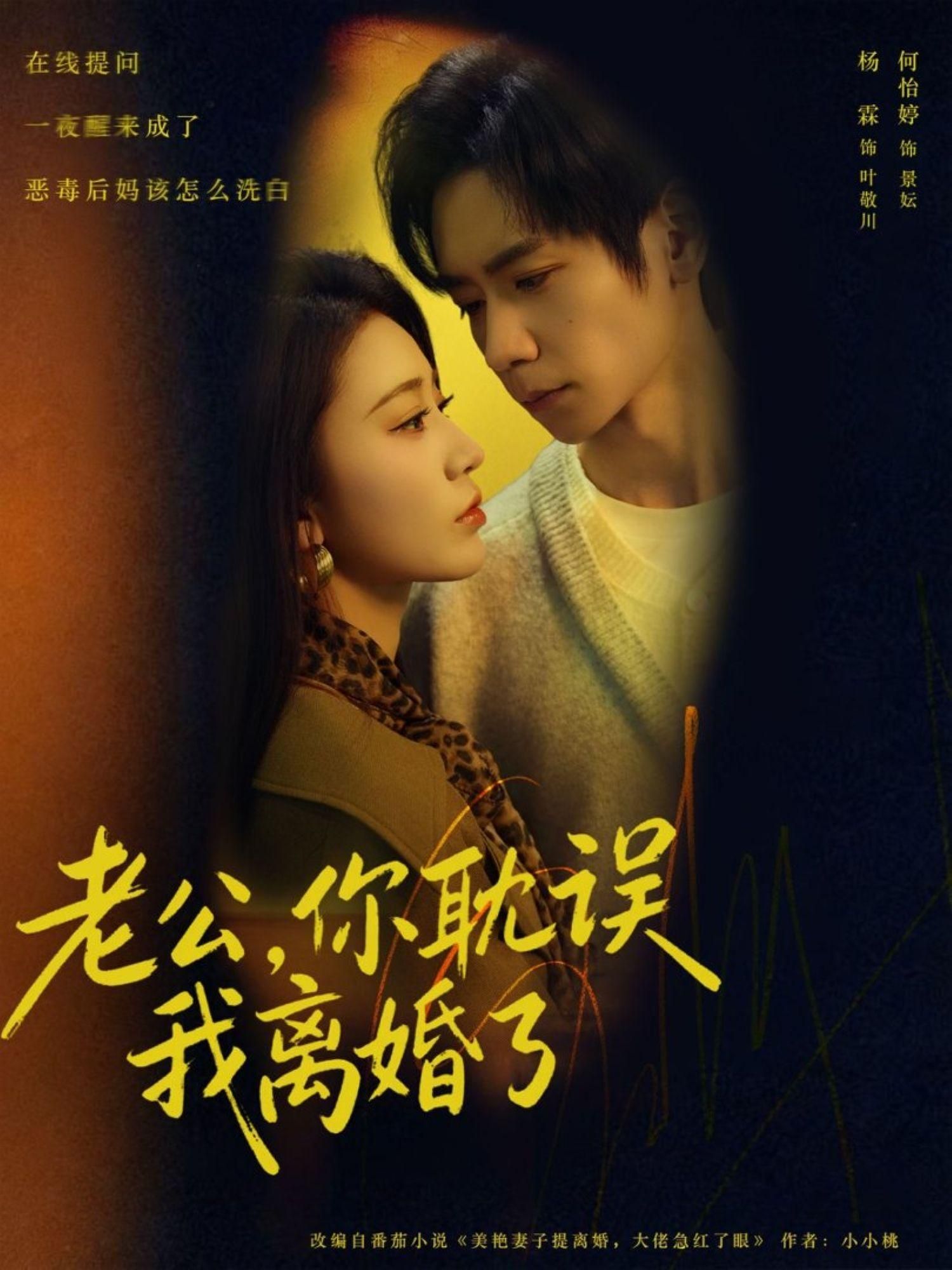 老公，你耽误我离婚了海报