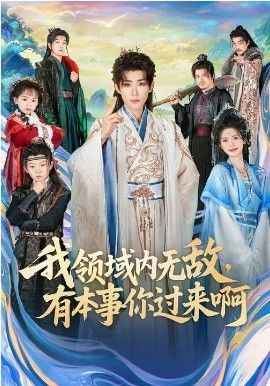 我领域内无敌，有本事你过来啊海报