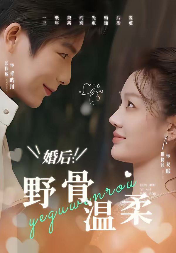 婚后：野骨温柔海报