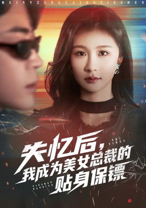 失忆后，我成为美女总裁的贴身保镖海报