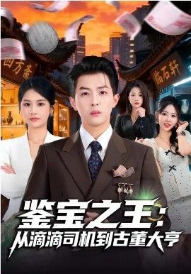 鉴宝之王：从滴滴司机到古董大亨海报