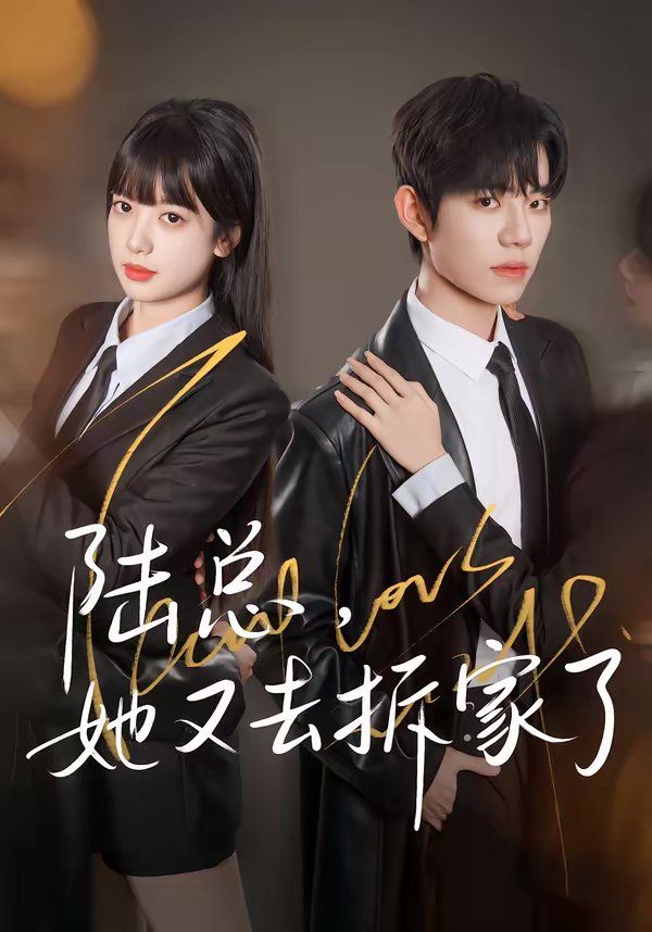 陆总，她又去拆家了海报