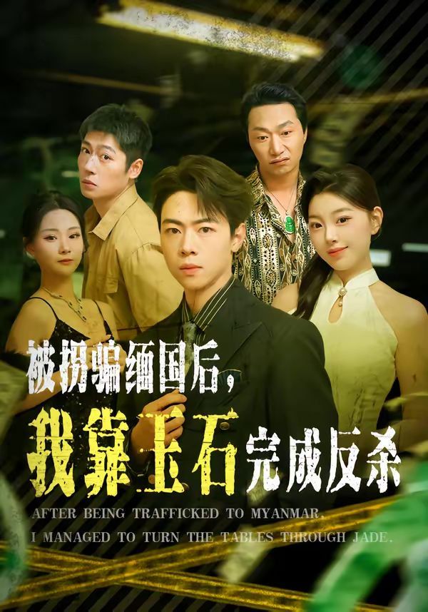 被拐骗缅国后，我靠玉石完成反杀海报