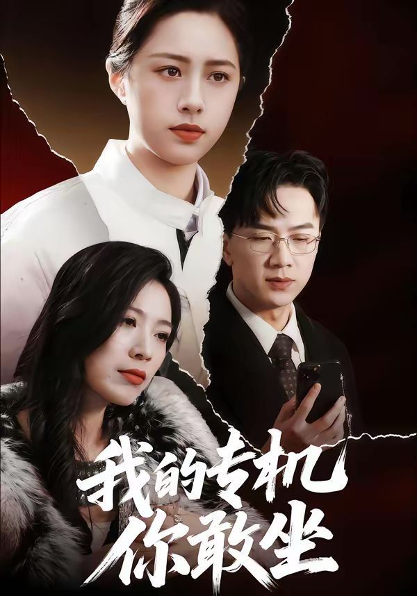 我的专机你敢坐海报