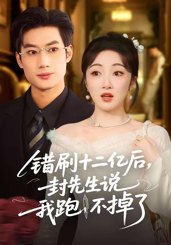 错刷十二亿后，封先生说我跑不掉了海报