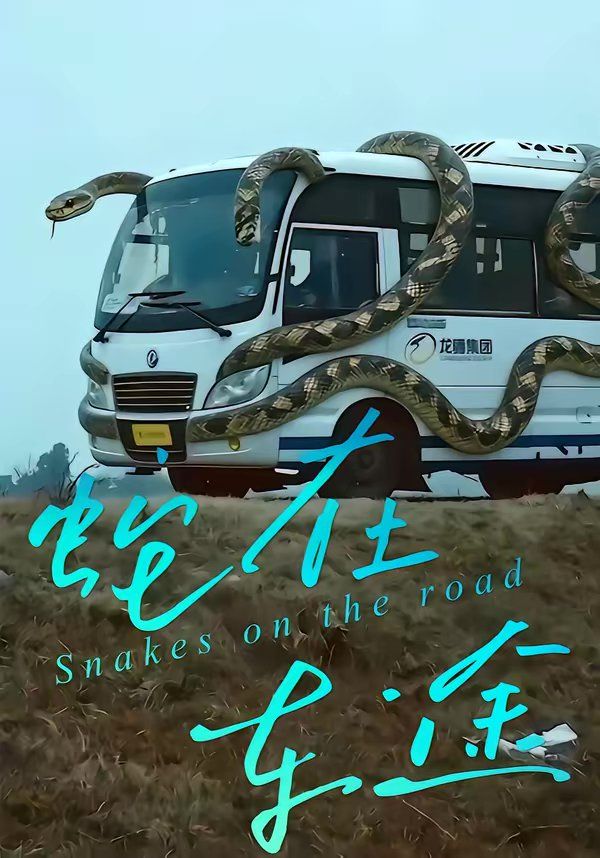 蛇在车途海报