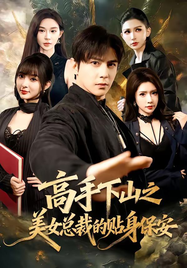 高手下山之美女总裁的贴身保安海报
