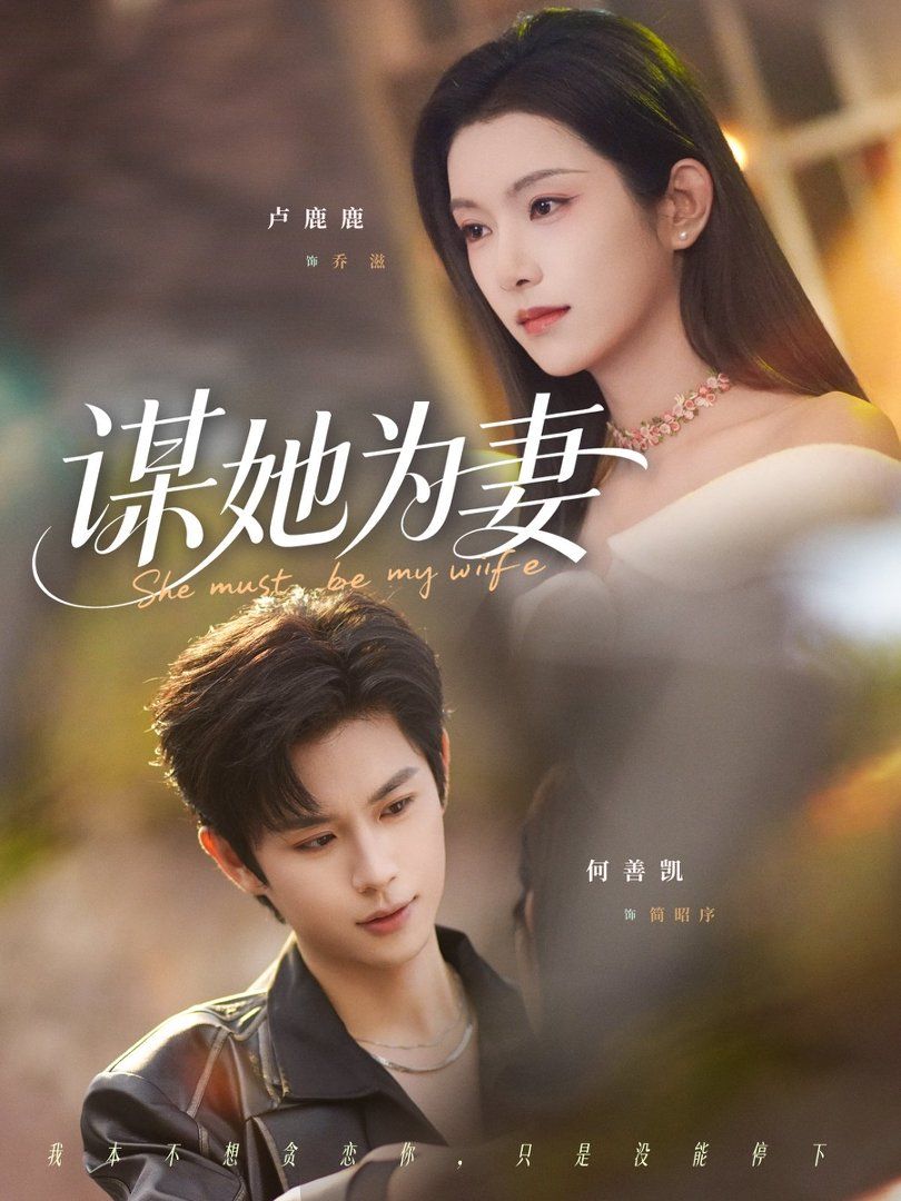 谋她为妻海报