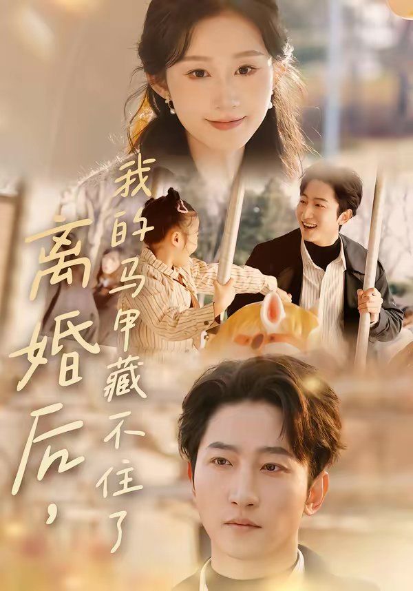 离婚后，我的马甲藏不住了海报