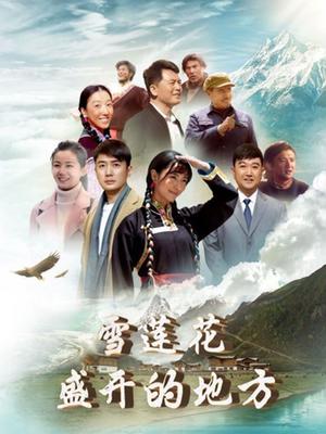 雪莲花盛开的地方海报