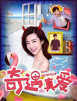 奇遇真爱海报