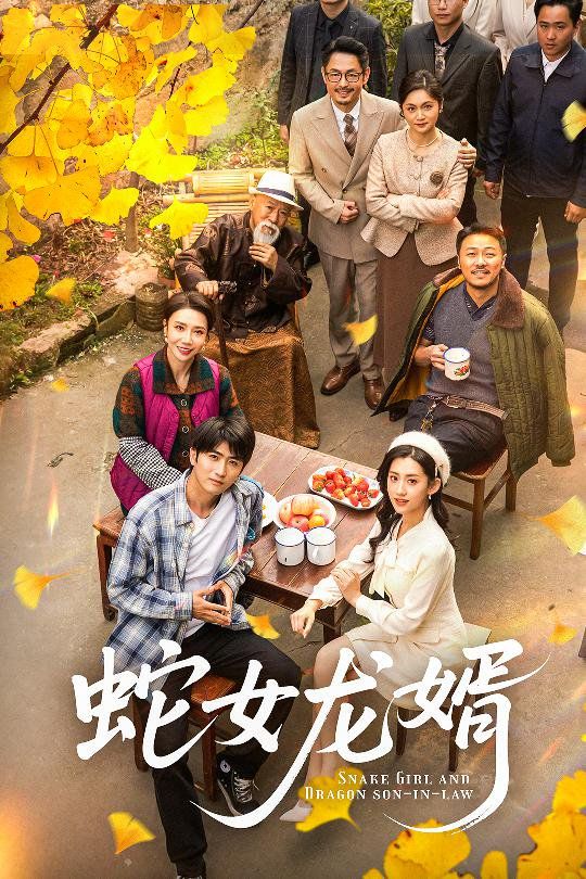 蛇女龙婿（不负韶华不负卿）海报