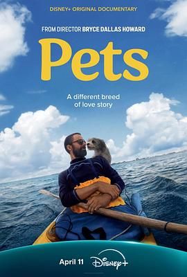宠 Pets海报