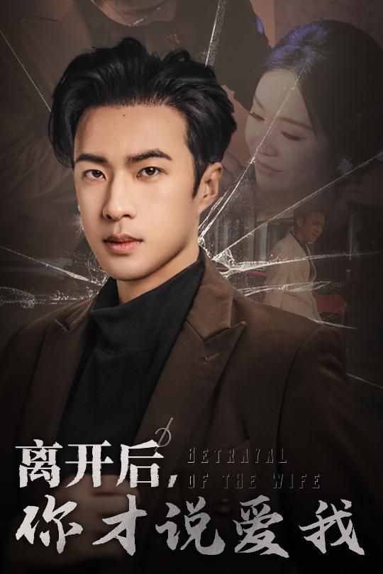 离开后你才说爱我（心如枯木难逢春）海报