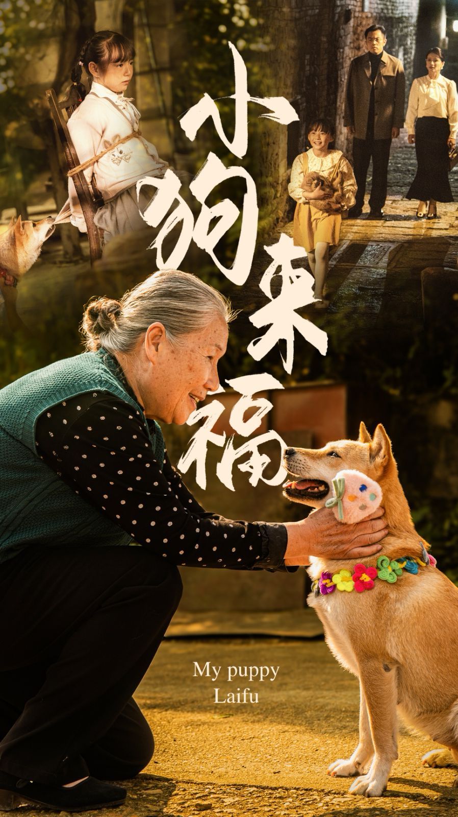 小狗来福海报