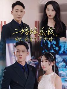 二婚嫁总裁前夫哥竟成了女婿海报