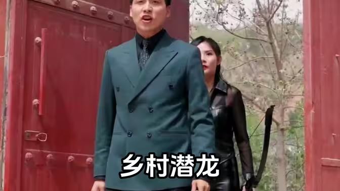 乡村潜龙海报